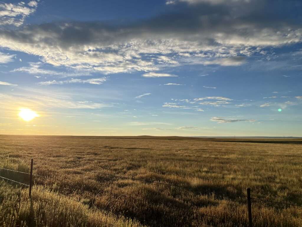 Sunrise over the grassy plains with a great distant mountain vista on the horizon